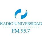 logo radio mdp